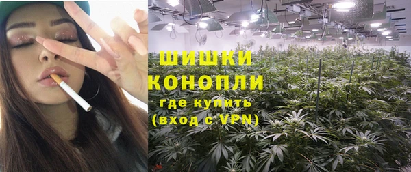 сатива Губаха