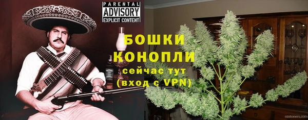 сатива Губаха