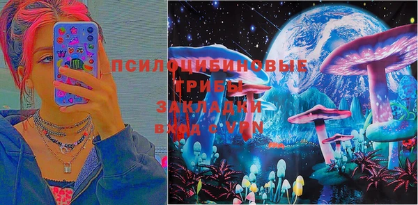 бутират Грязи