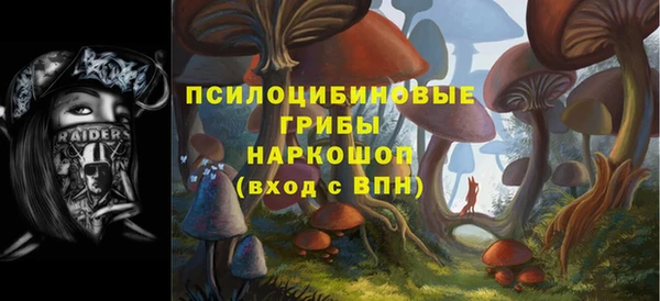 PSILOCYBIN Протвино