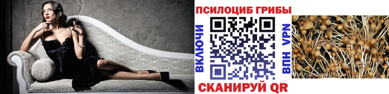 Галлюциногенные грибы GOLDEN TEACHER  omg зеркало  Адыгейск 
